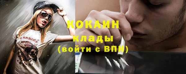 крисы Кодинск