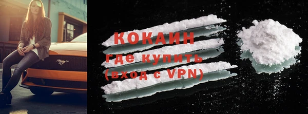 крисы Кодинск