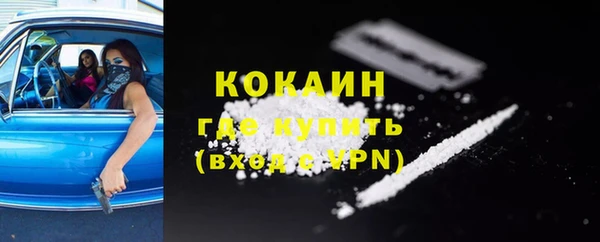 крисы Кодинск