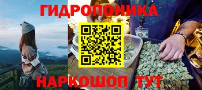 хмурый Канаш
