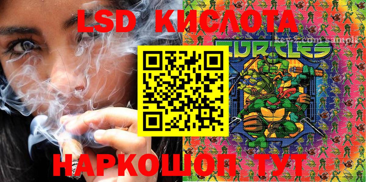 Псилоцибиновые грибы Кыштым