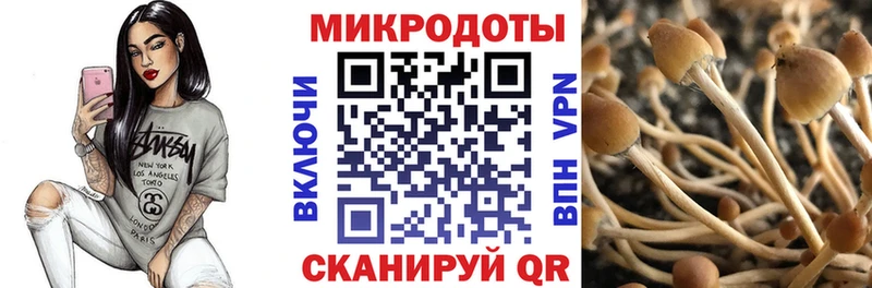 Галлюциногенные грибы Psilocybine cubensis Купить Кыштым