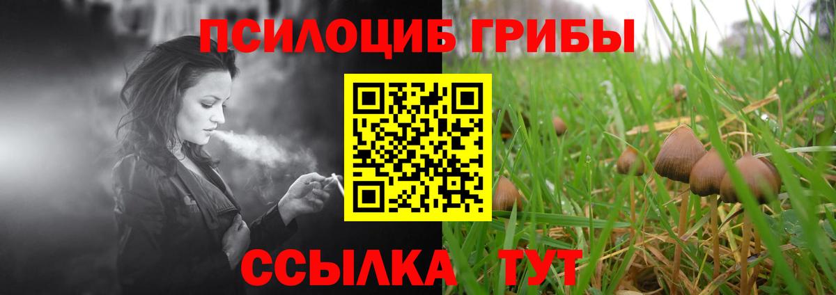 Кыштым  Галлюциногенные грибы прущие грибы  Вход с VPN 